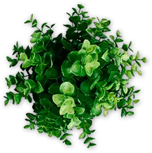 Agencia de Marketing